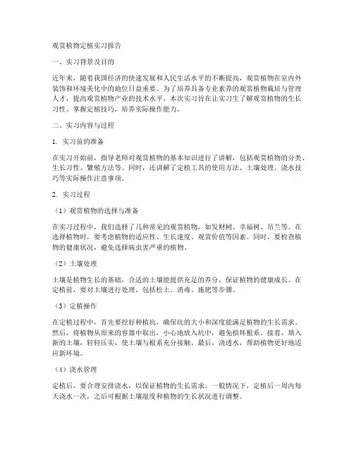 观赏植物定植实习报告
