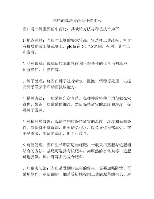 当归的栽培方法与种植技术
