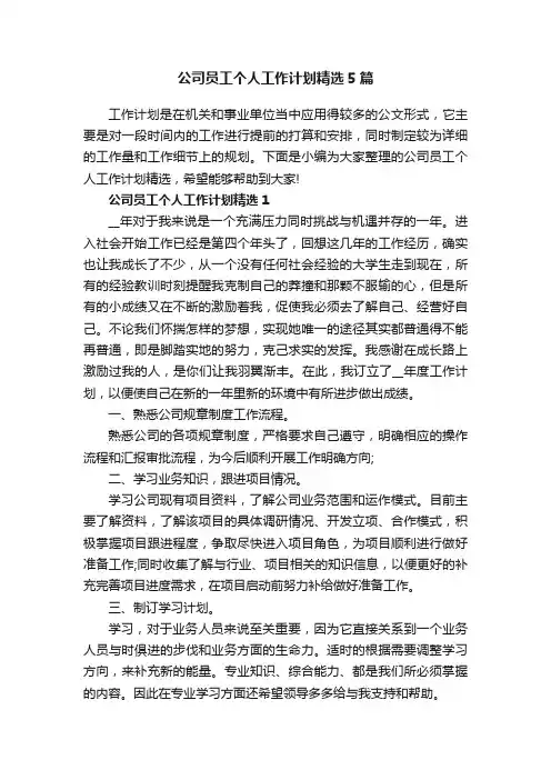 公司员工个人工作计划精选5篇