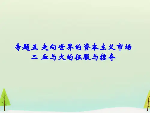 血与火的征服与掠夺优秀课件24