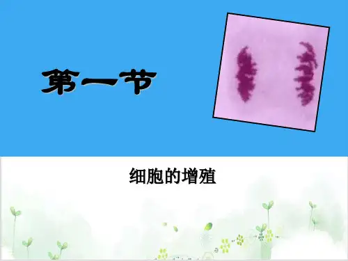 [人教版]《细胞的增殖》经典课件1