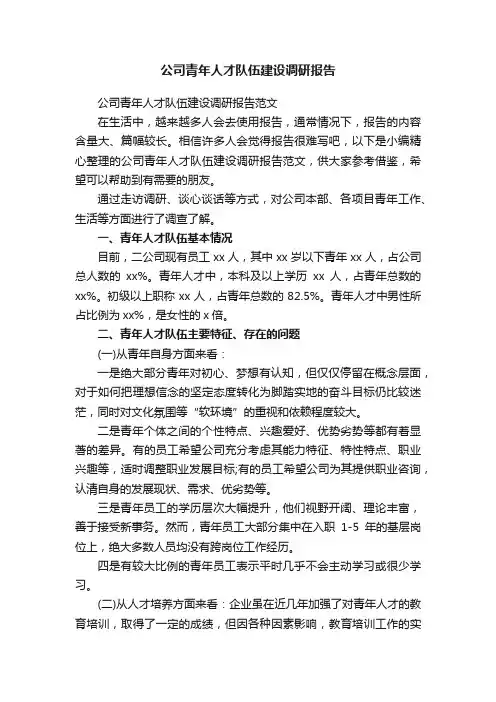 公司青年人才队伍建设调研报告范文