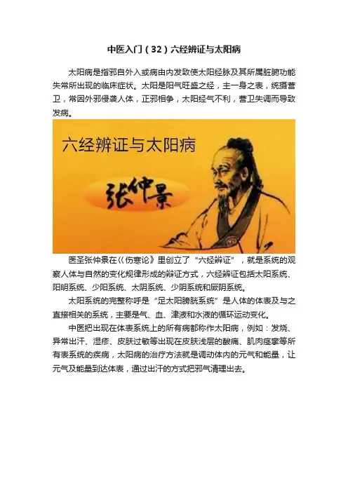 中医入门（32）六经辨证与太阳病