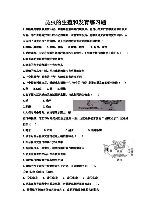 昆虫的生殖和发育练习题