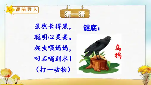 乌鸦喝水 课件(共31张PPT)