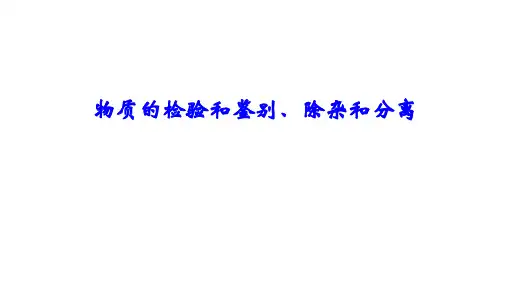 2020中考化学专题复习：物质的检验和鉴别、除杂和分离(共22张PPT)
