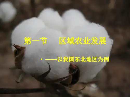 区域农业发展以我国东北地区为例PPT课件( 54页)