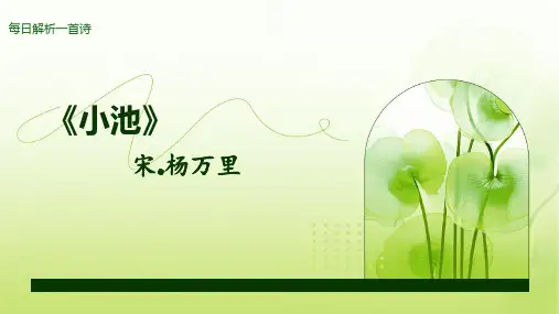 每日解析一首诗(《小池》宋.杨万里)