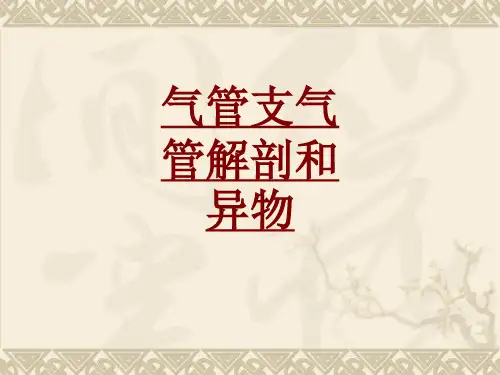 医学气管支气管解剖和异物专题课件