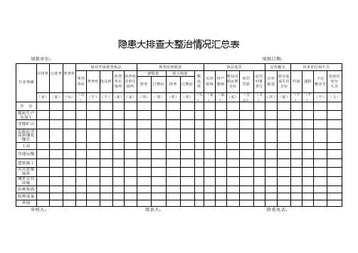 隐患大排查大整治情况汇总表