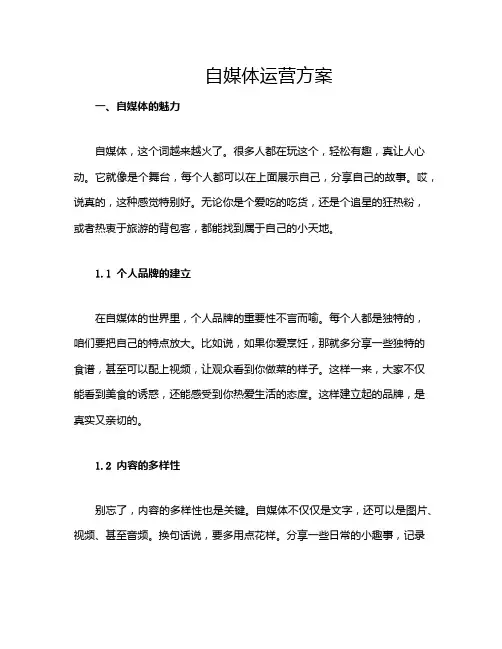 自媒体运营方案