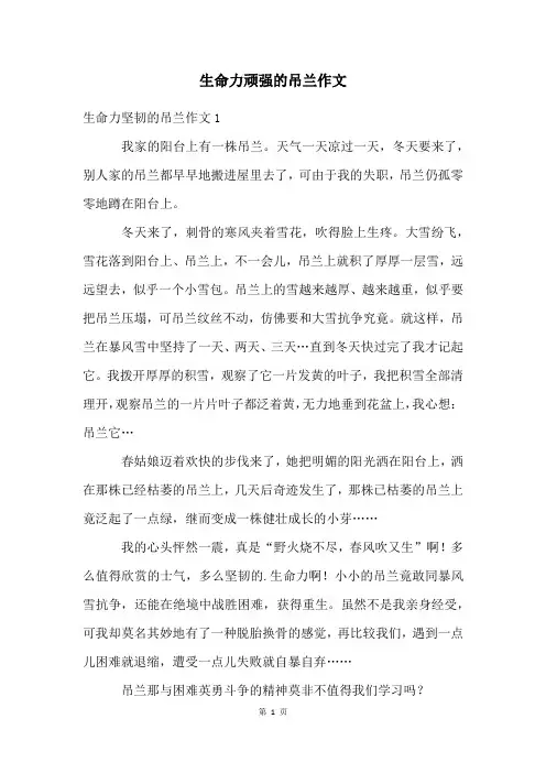 生命力顽强的吊兰作文
