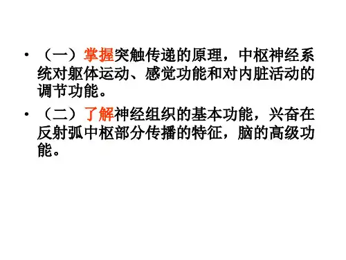 生理学课件神经系统