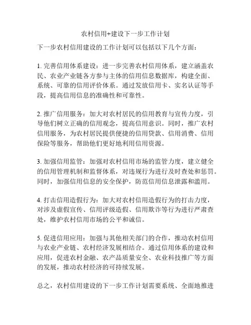 农村信用+建设下一步工作计划