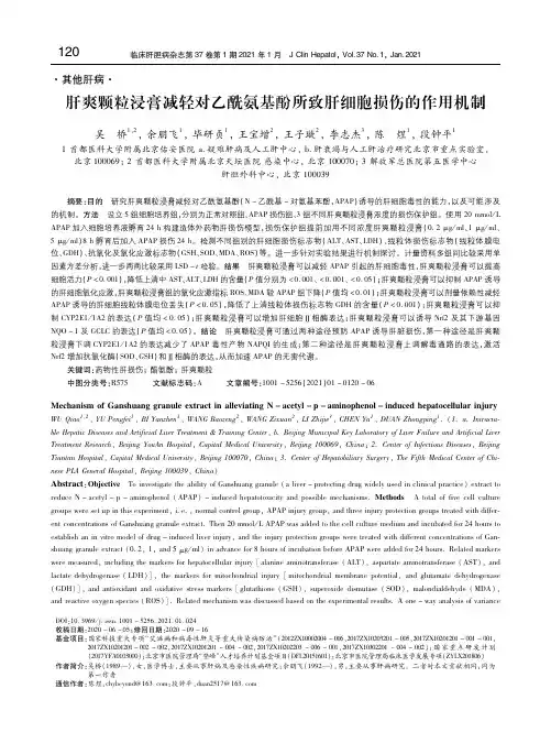 肝爽颗粒浸膏减轻对乙酰氨基酚所致肝细胞损伤的作用机制