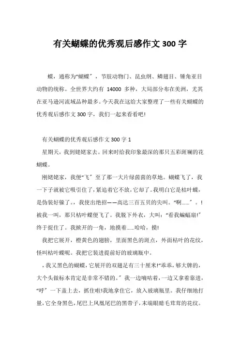 (观后感)有关蝴蝶的优秀观后感作文300字
