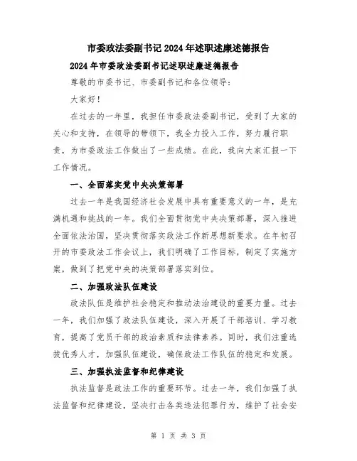 市委政法委副书记2024年述职述廉述德报告