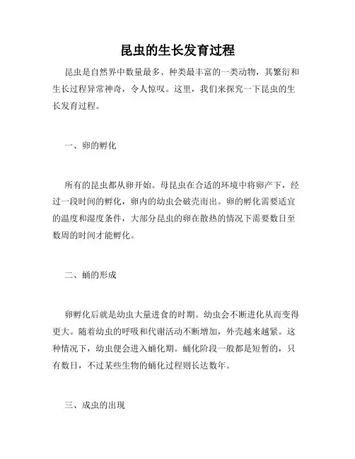 昆虫的生长发育过程
