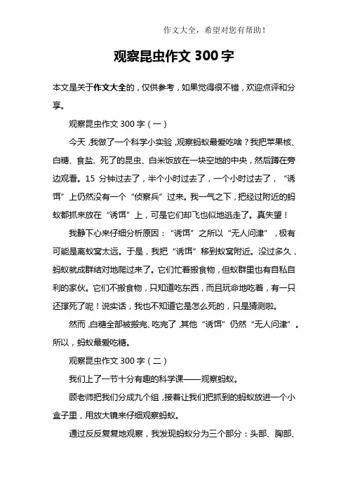 观察昆虫作文300字