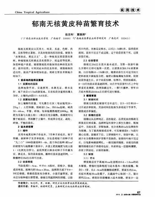 郁南无核黄皮种苗繁育技术