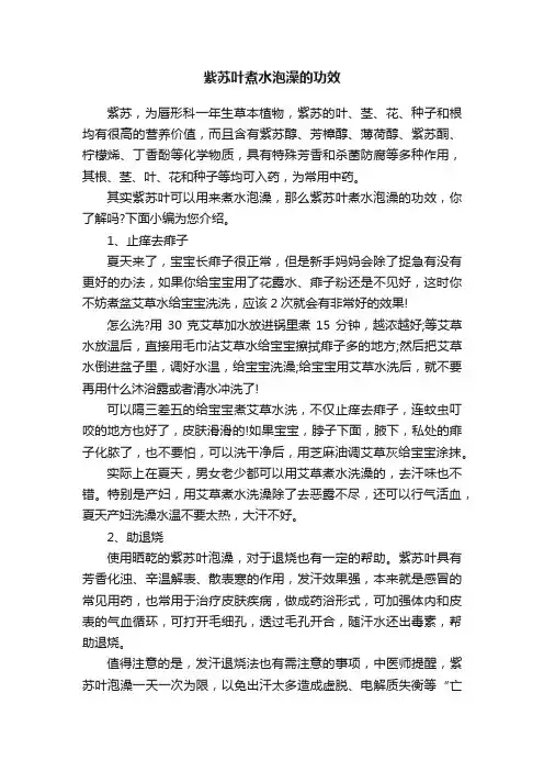 紫苏叶煮水泡澡的功效