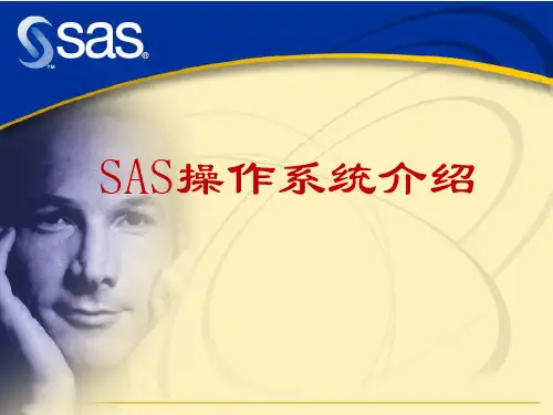 SAS系统简介