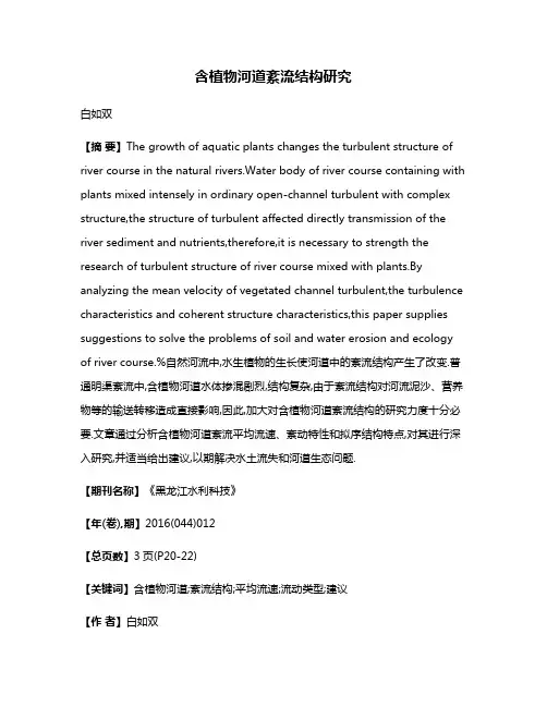 含植物河道紊流结构研究