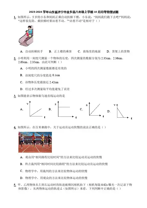 2023-2024学年山东省济宁市金乡县八年级上学期10月月考物理试题