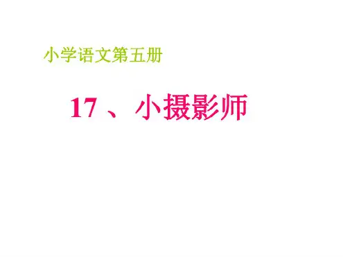 三年级语文小摄影家1(20200806093721)