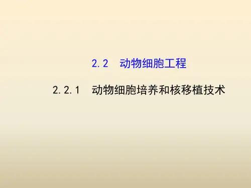 人教版高中生物选修三2.2.1《动物细胞培养和核移植技术》ppt精讲课件