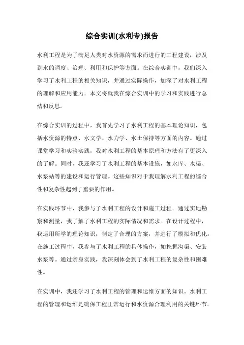 综合实训(水利专)报告