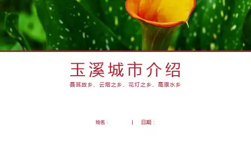 玉溪介绍-玉溪简介PPT(经典版)