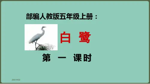 部编人教版五年级上册： 白鹭 课件ppt