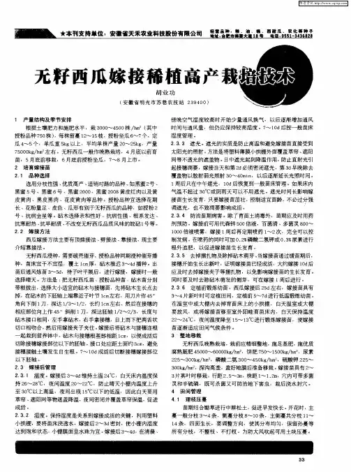 无籽西瓜嫁接稀植高产栽培技术