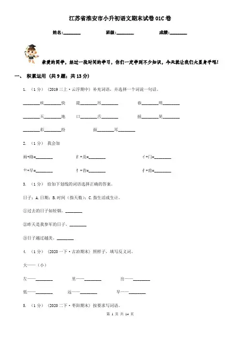 江苏省淮安市小升初语文期末试卷01C卷