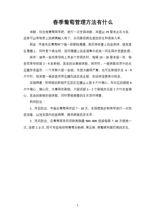 春季葡萄管理方法有什么