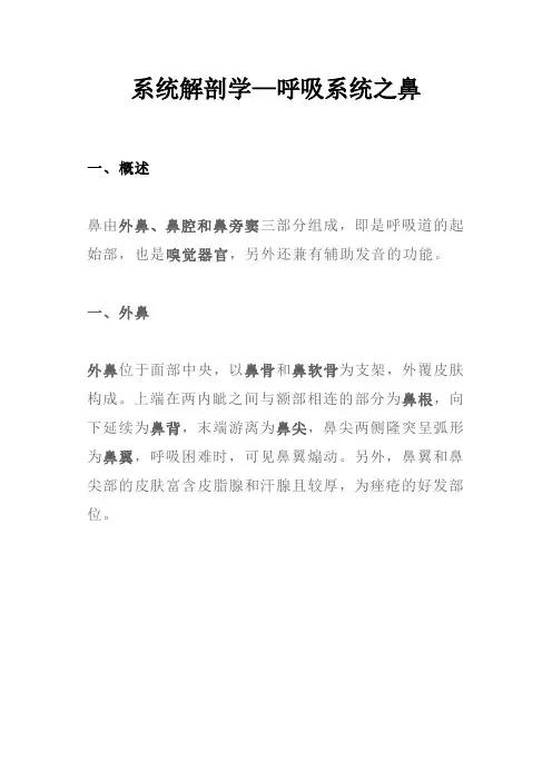 系统解剖学——呼吸系统之鼻