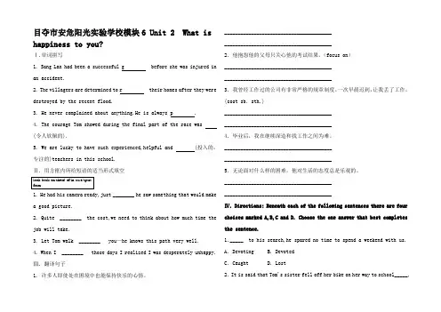 高考总复习英语模块6 Unit2 What is happin