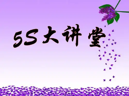 精选5s培训大讲堂PPT30页efx