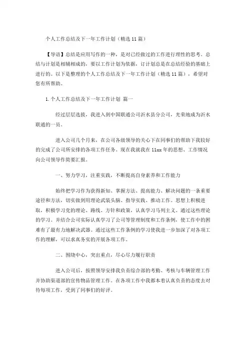 度个人工作总结及下一年工作计划(精选