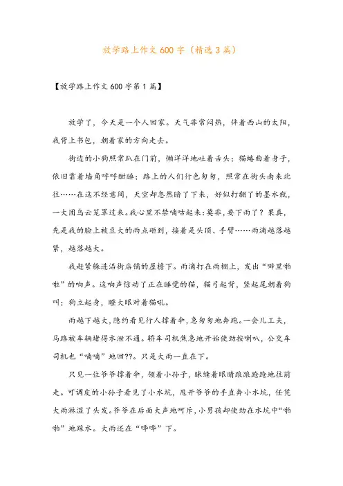 放学路上作文600字(精选3篇)