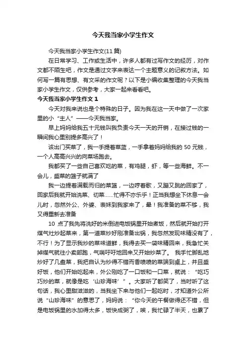 今天我当家小学生作文