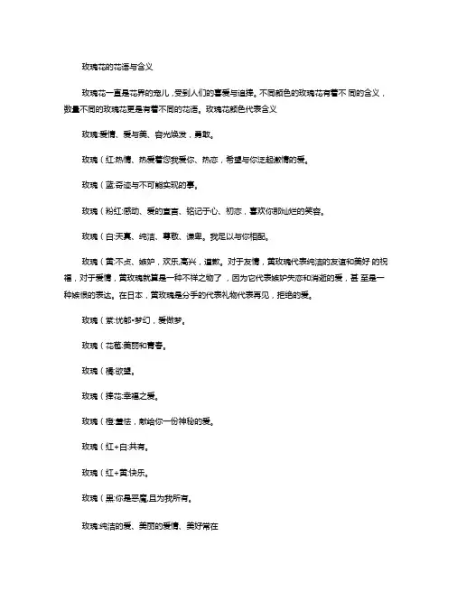 玫瑰花的花语与含义