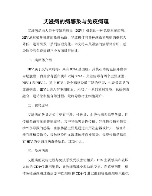 艾滋病的病感染与免疫病理
