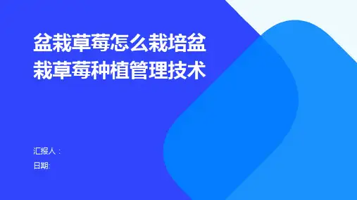 盆栽草莓怎么栽培盆栽草莓种植管理技术
