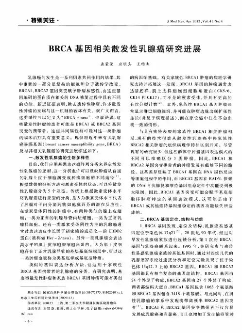 BRCA基因相关散发性乳腺癌研究进展