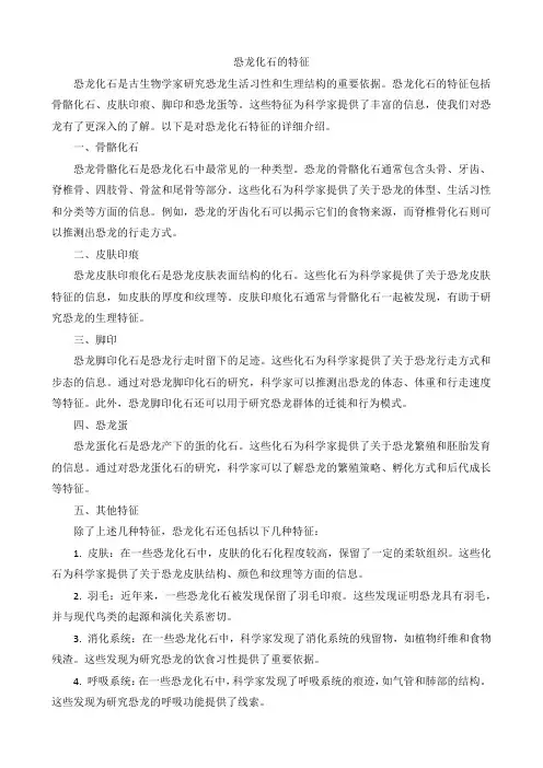 恐龙化石的特征