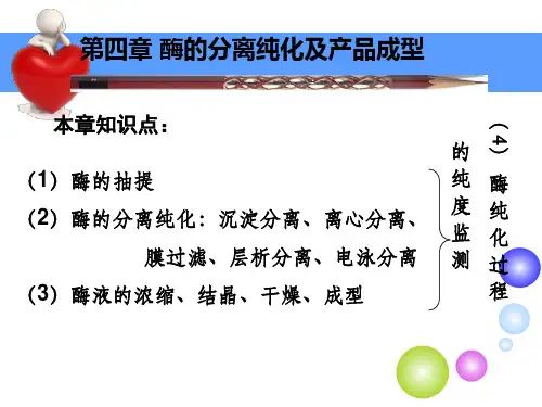酶的分离纯化