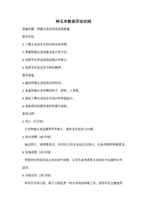 种玉米教案劳动实践