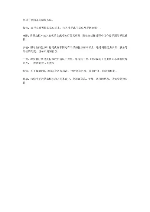 昆虫干制标本的制作方法